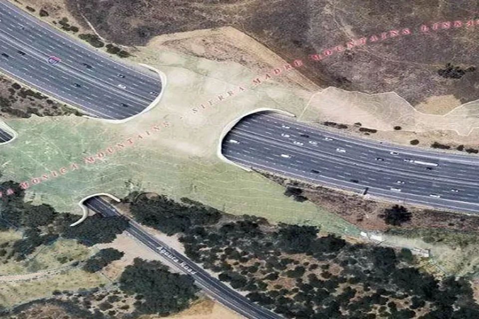 Rendering of the proposed Liberty Canyon Wildlife Corridor